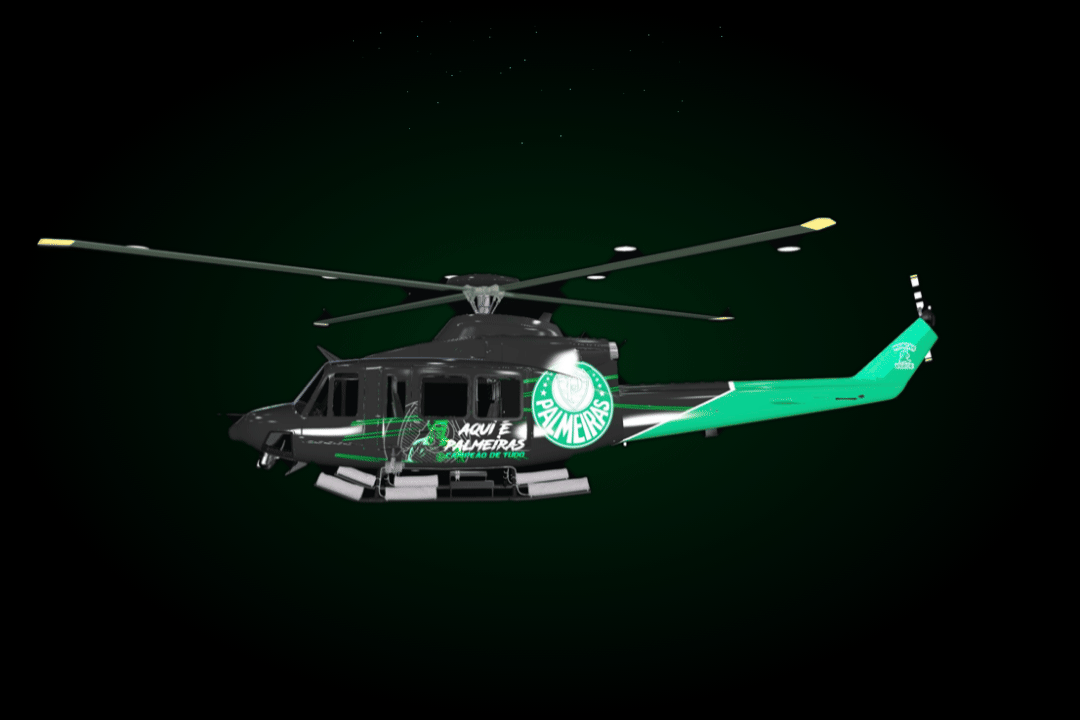 HELI  PALMEIRAS